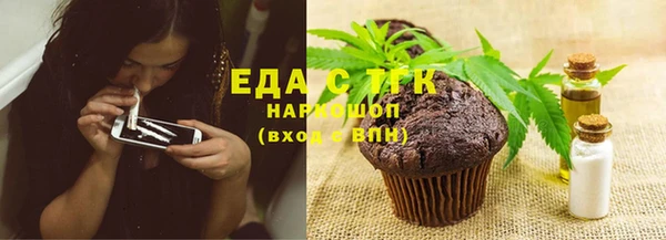 индика Бородино