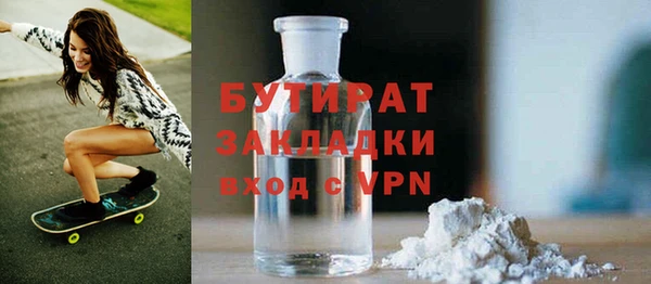 индика Бородино