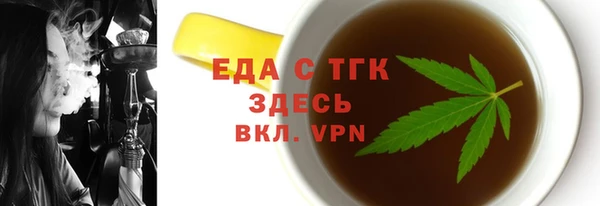 индика Бородино