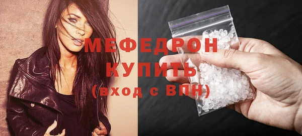 индика Бородино